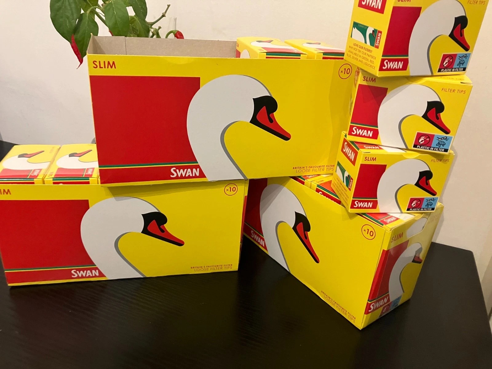 Swan Lose Filter Tips - Image 3